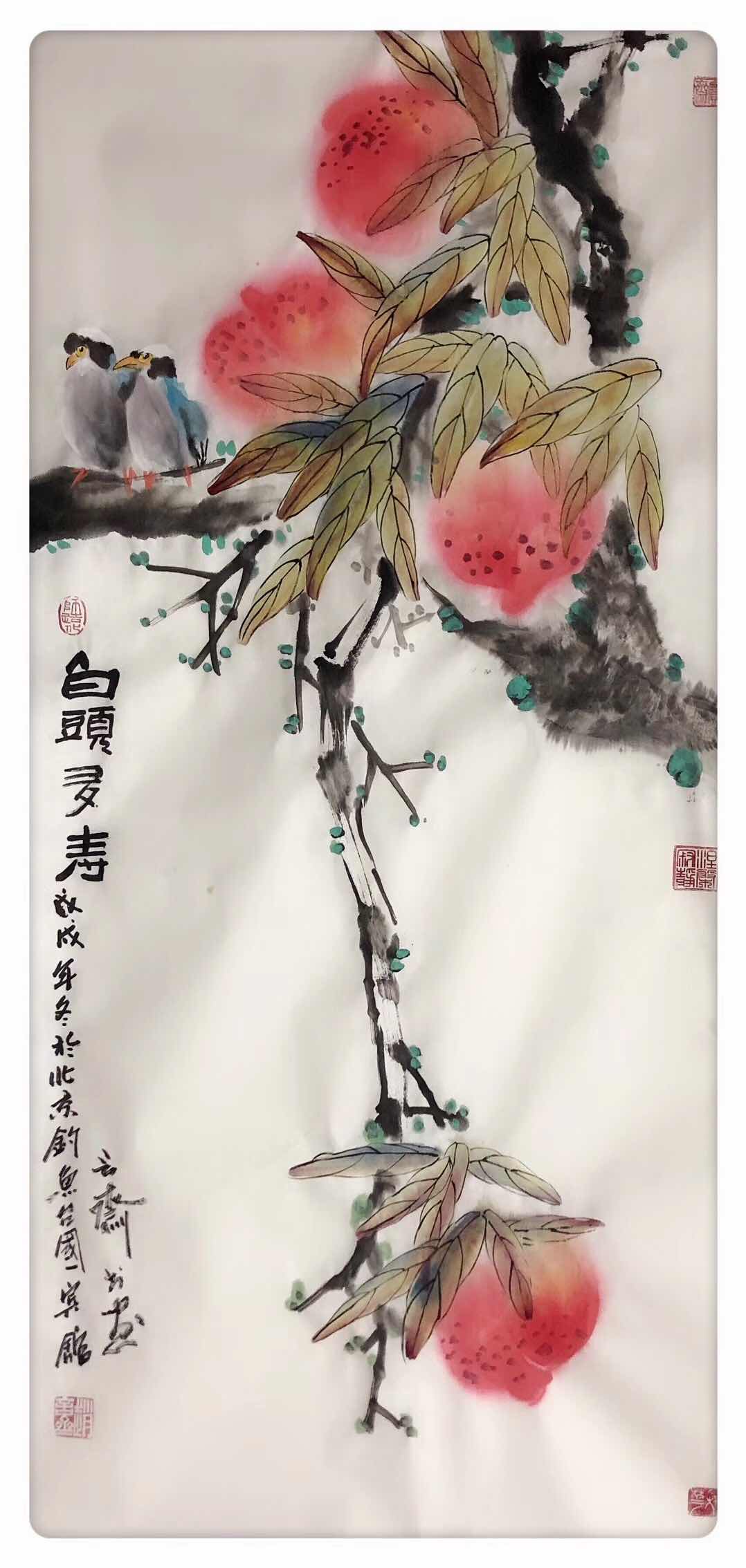 赵言斋