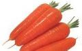 胡萝卜能预防近视吗？